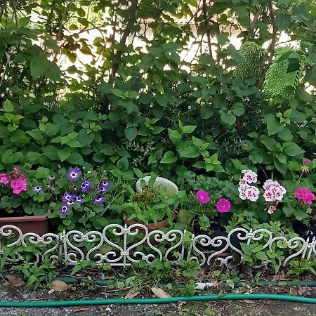 Apartman Svilno Rijeka Dış mekan fotoğraf