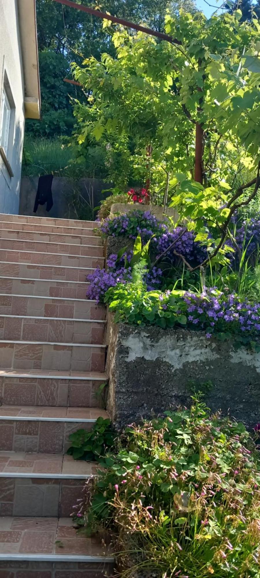 Apartman Svilno Rijeka Dış mekan fotoğraf